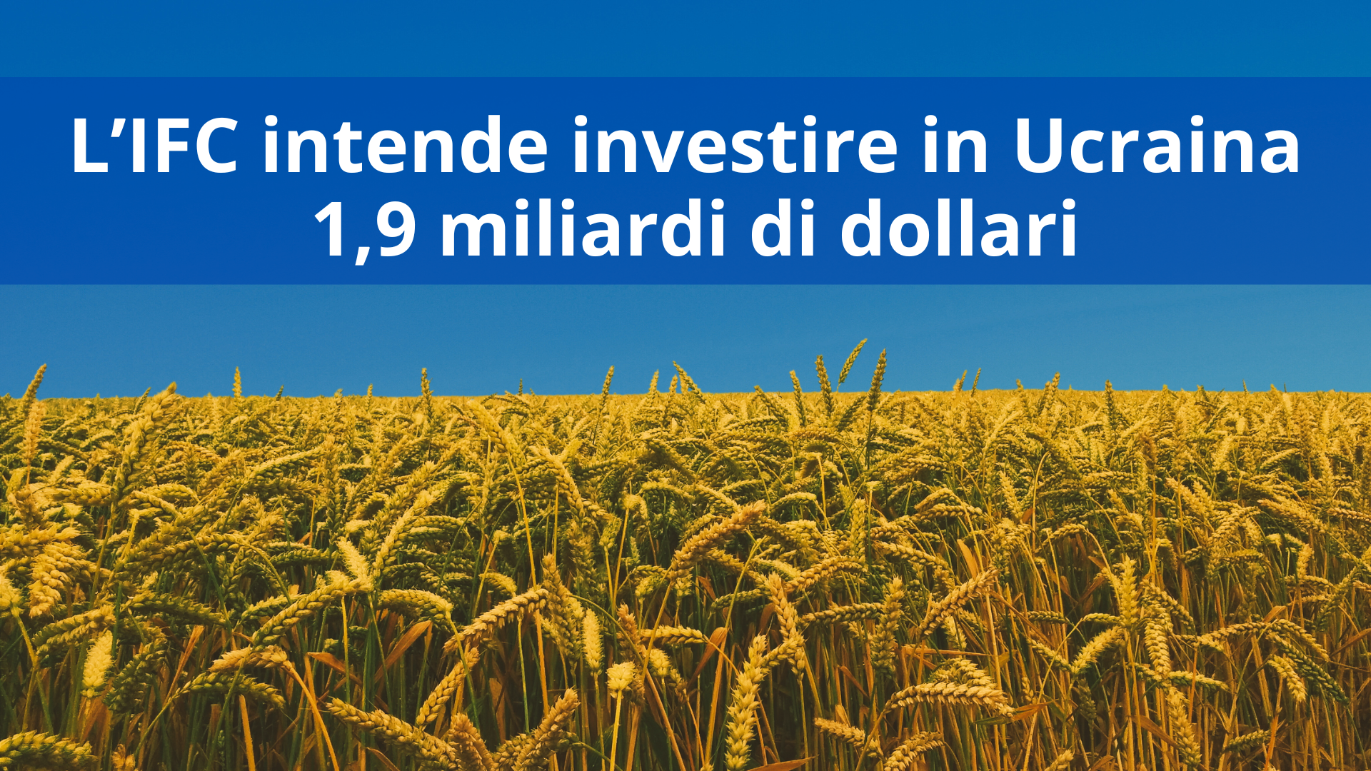 L’IFC intende investire in Ucraina 1,9 miliardi di dollari
