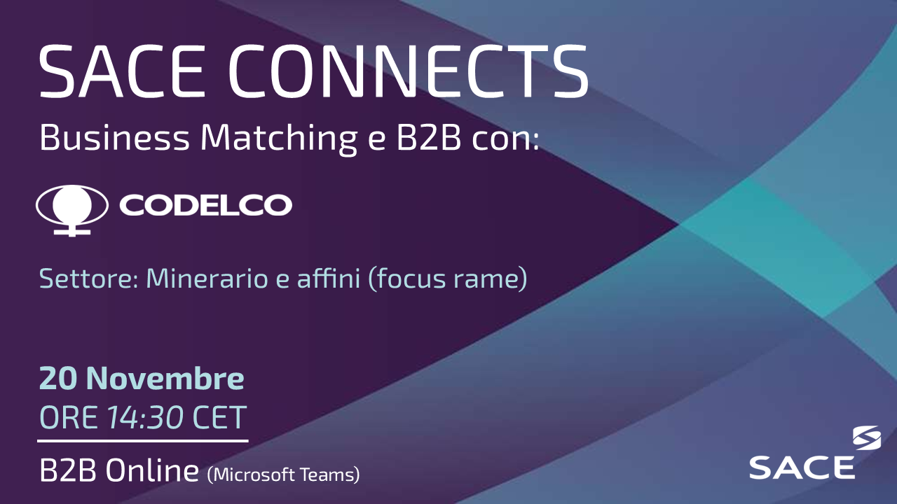 Banner DEM _Business Matching Event_CODELCO.png