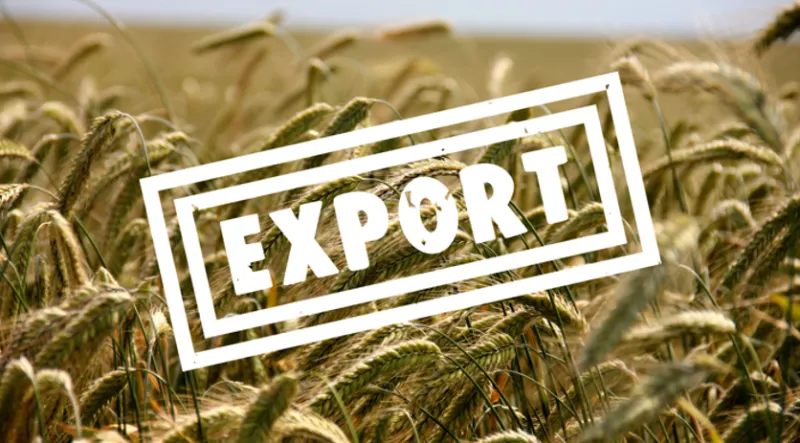export
