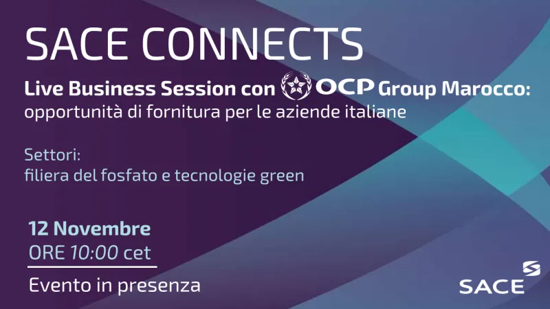 Export govBanner DEM SACE Connects.png